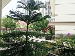Horizon Gardens (D20), Terrace #119787292